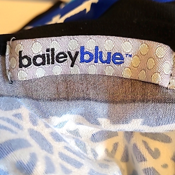 Bailey Blue Colorful Blue Paisley Bandana Dress - Picture 5 of 5